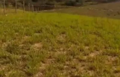 Lindo terreno são miguel, 1.000 m², 10 km cidade, energia, plano, exc. local, internet, doc. ok