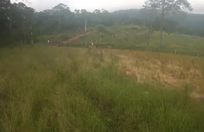 Lindo sítio tapiraí sp, 5 alqueires, rio bonito, 6,5 km asfalto, mata nativa, car, itr, doc. ok