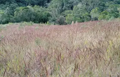 Lindo sítio em tapiraí, 37.000 m², 23 km de tapiraí, 7 km de terra, doc. ok, facilito.