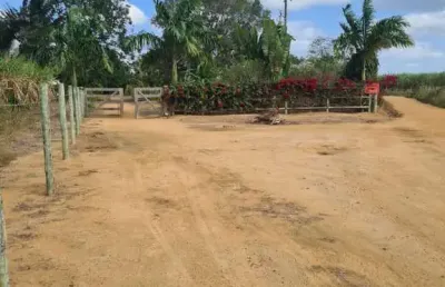 Oportunidade única! terra produtiva à venda com infraestrutura completa e potencial produtivo em pedro canário, es!