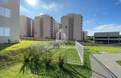 Apartamento com 2 dorm, no condomínio brisa da mata jatobás em paulínia