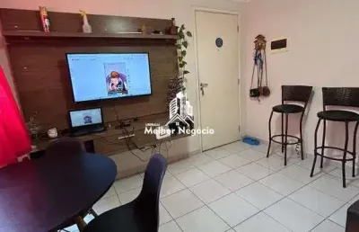 Apartamento para à venda, 2 quartos no jardim novo ângulo - hortolândia i cód: 19931