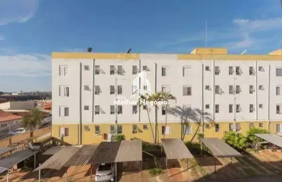 Apartamento à venda com 3 quartos no condomínio parque dos eucaliptos em campinas/sp