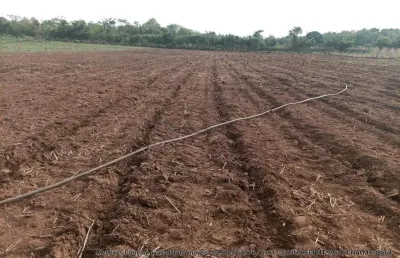 Sitio de 34 hectares na região do raizama entre jangada e nobres