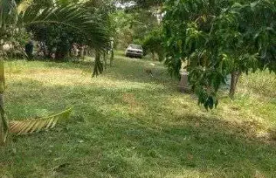 Chácara / sítio com 3 quartos à venda na área rural, 5775, área rural de várzea grande, várzea grande, 600 m2 por r$ 250.000