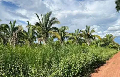 Sítio com 55 hectares na região da cidade de nobres mt