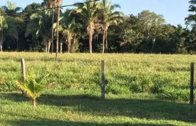 Fazenda à venda na pertinho de cuiabá mt, 3223, porto de fora, santo antônio do leverger, 110 m2 por r$ 2.000.000