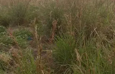 Terreno à venda na Rua Acácia, Petrópolis, Várzea Grande