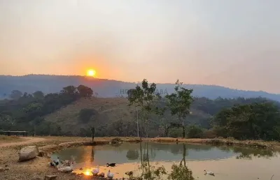 Chácara / sítio com 4 quartos à venda na Zona Rural, 123, Centro, Rio Branco