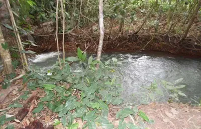 Chácara / sítio com 5 quartos à venda na Sítio, sn, Zona Rural, Campo Verde
