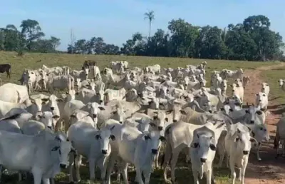 Fazenda a venda proximo de cuiaba saida p/ rondonopolis