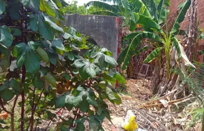 Terreno à venda na Rua Joaquim J. de Figueiredo, 03, Parque do Lago, Várzea Grande
