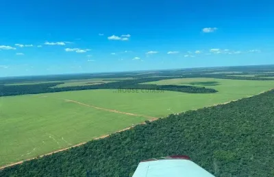 Fazenda à venda na Estrada Rural, 17, Zona Rural, Nova Mutum