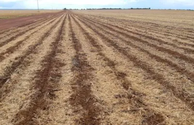 Fazenda à venda na Estrada Rural, 23, Zona Rural, Água Boa