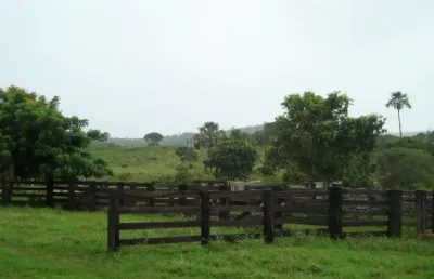 Fazenda à venda na zona rural, 1, zona rural, primavera do leste, 3280000 m2 por r$ 7.000.000