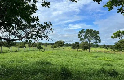 Sitio com 16 hectares, sendo 12 hectares formadas, 59 km da cidade de várzea gra