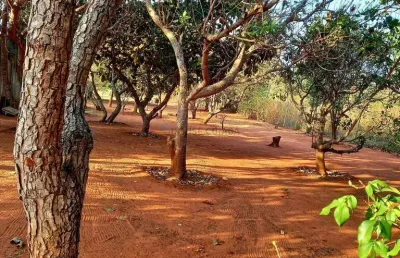 Sítio no distrito de água fria - chapada dos guimarães - mt