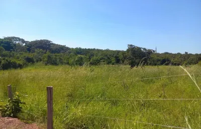 Chácara de 2,9 hectares toda no cerradão bruto sem benfeitorias, toda cercada