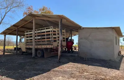 Fazenda à venda na Sítio Mata Peixe, s N, Zona Rural, Poconé