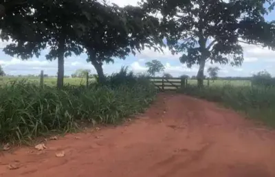 Chácara / sítio com 2 quartos à venda na Zona Rural, S N, Centro, Porto Esperidião
