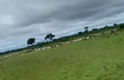 Fazenda com 517 hectares na região entre a cidade de nossa senhora do livramento