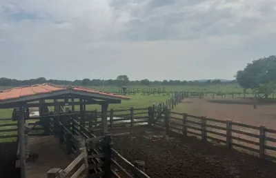 Fazenda de 110 alqueires no município da cidade de cocalinho