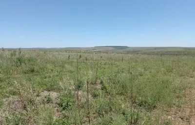 Área de terra de 1.132 hectares no município de cristalina