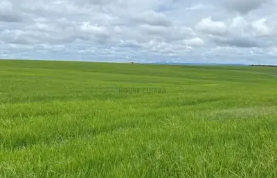 Fazenda de 968 hectares na região do município de cristalina goiás