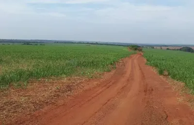 Fazenda de 150 alqueires (360 hectares), com 100 alqueres plantado de cana em ub