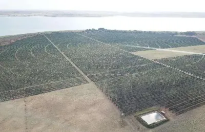 Fazenda de 158,33 hectares na região da cidade de votuporanga
