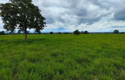 Fazenda com dupla aptidão no município a cidade de araguapaz no estado de goias