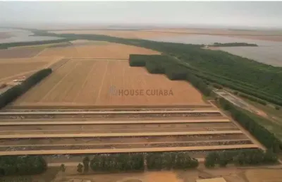 Fazenda de 20.190 mil hectares na região da cidade de campo verde no estado do m