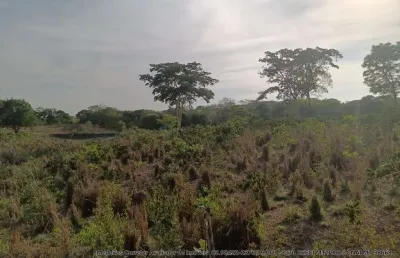 Sitio de 44 hectares 35 km de cuiabá mt, na região da vila do aguaçú no distrito