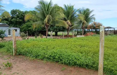 Sitio de 14 hectares todo formado na região da cidade de campo verde no mato gro