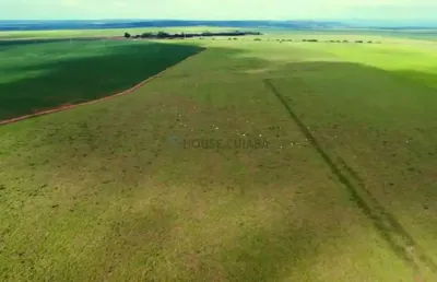 Fazenda de 723 hectares na região da cidade de rondonópolis no estado de mato gr