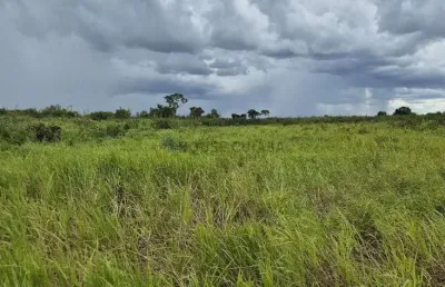 Área de terra de 3.456,03 hectares no pantanal sul mato-grossense. r$. 6.500.000