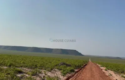 Área rural de 15.700 hectares no município de alto parnaíba/ma