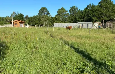 Terreno à venda na Rodovia Evádio Paulo Broering, Pinheira, Palhoça