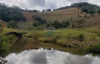 Fazenda com 12.39 hec - laranjal - mg - próximo a br 116 -todo formado em braquiária ideal para pastagem.