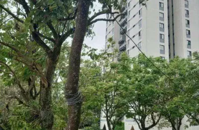 Apartamento com 3 dormitórios à venda, 72 m² por r$ 469.000,00 - jardim marajoara - são paulo/sp