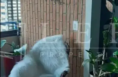 Apartamento com 3 quartos à venda na Rua Barão do Triunfo, --, Brooklin Paulista, São Paulo