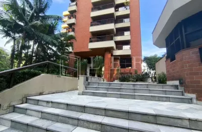 Apartamento com 3 quartos para alugar na Rua Professor Alexandre Correia, --, Jardim Vitoria Regia, São Paulo