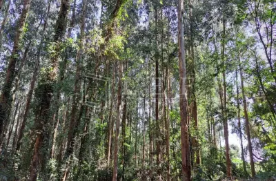 Fazenda à venda na Fazenda Fazenda  Santo Antônio, 10, Centro, Joanópolis