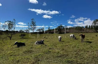 Fazenda à venda na Fazenda Fazenda Pilar Do Sul, --, Centro, Pilar do Sul
