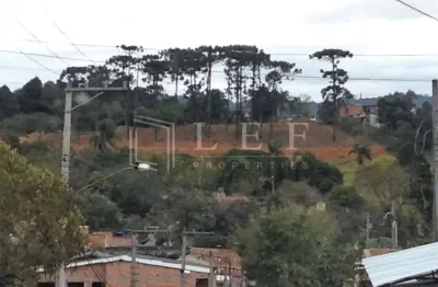 Terreno comercial à venda na Estrada dos Fischer'S, --, Jardim Sandra, Cotia