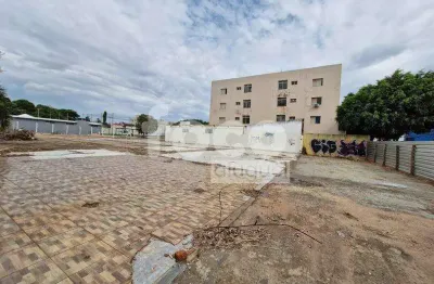 Terreno comercial para alugar na Avenida Araguari, Martins, Uberlândia