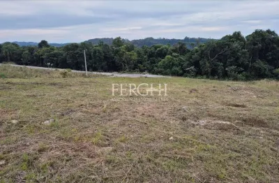 Terreno à venda no Monte Bérico, Caxias do Sul 