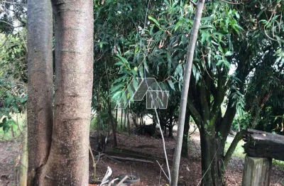 Chácara / sítio à venda na rua maranhão, parque serra dourada, marília por r$ 170.000