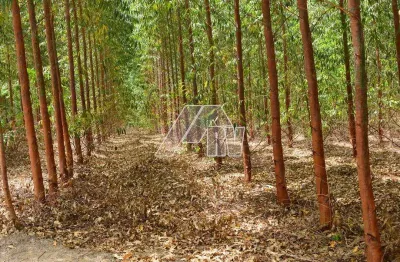 Fazenda à venda na rua maranhão, centro (rosália), marília por r$ 6.600.000