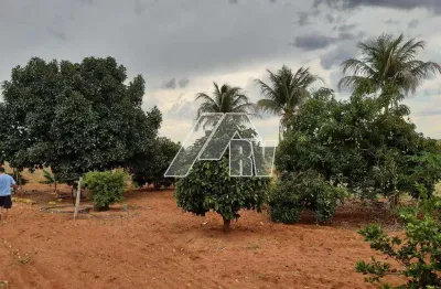 Chácara / sítio à venda no Centro, Guaimbê 